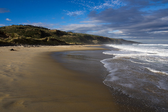 New Zealand 2013