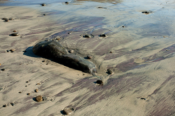 Big Sur 2007