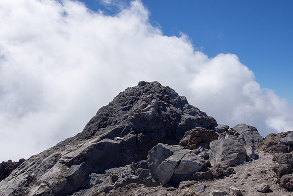 New Zealand 2013