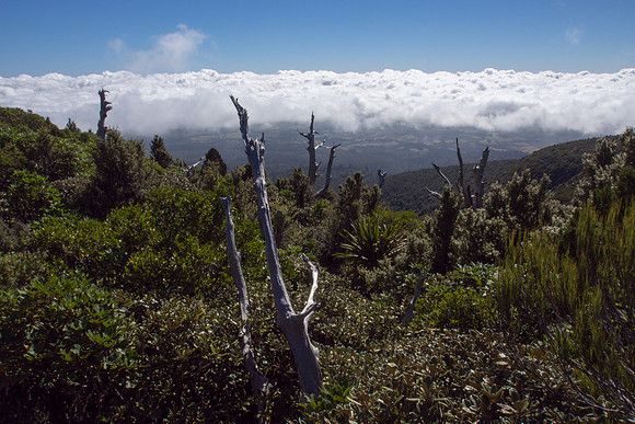 New Zealand 2013