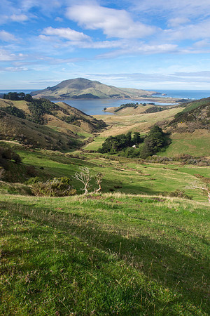New Zealand 2013