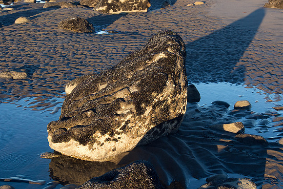 New Zealand 2013