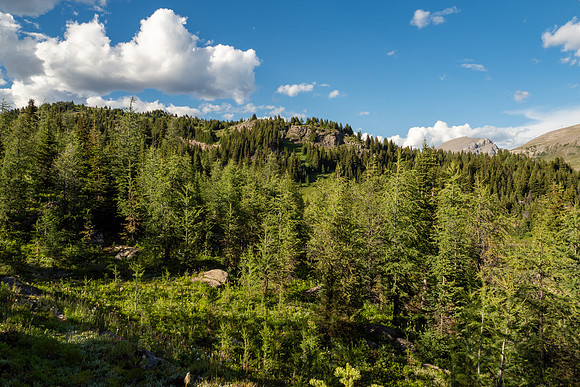 Banff National Park 2025