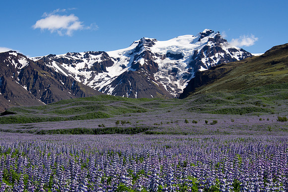 Iceland 2014