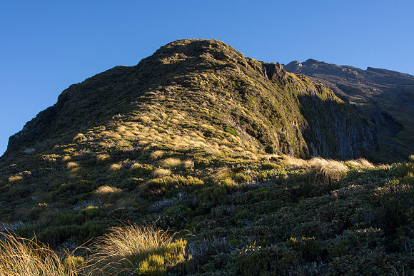 New Zealand 2013