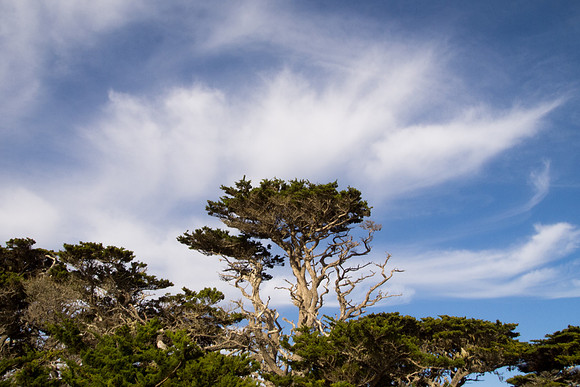 Big Sur 2011