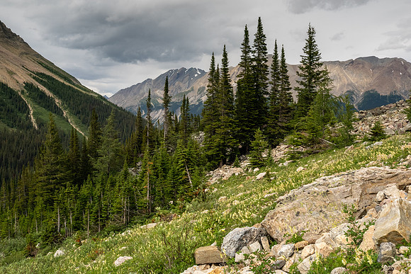 Banff National Park 2025