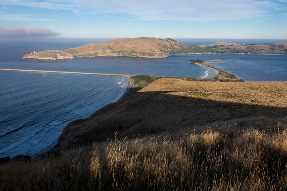 New Zealand 2013