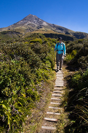New Zealand 2013