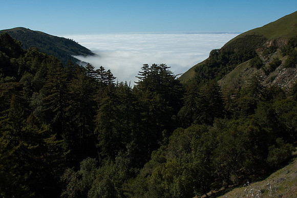 Big Sur 2007