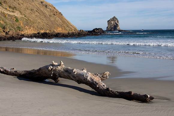 New Zealand 2013
