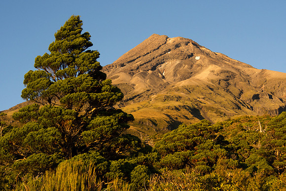 New Zealand 2013