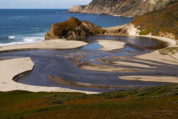 Big Sur 2011