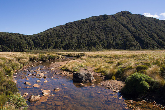 New Zealand 2013
