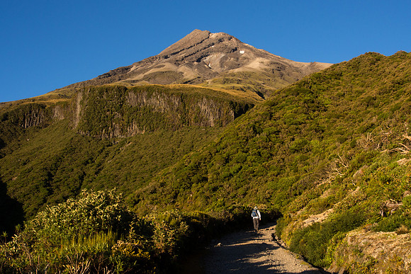 New Zealand 2013