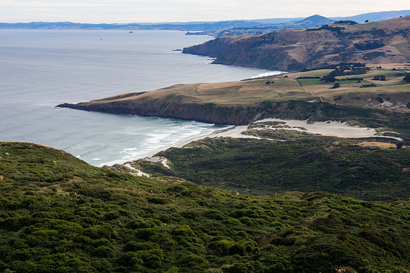 New Zealand 2013