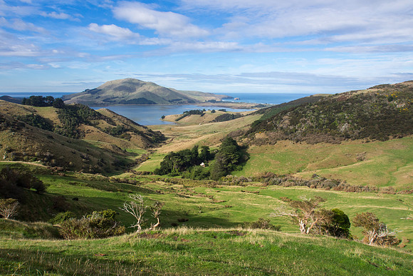 New Zealand 2013