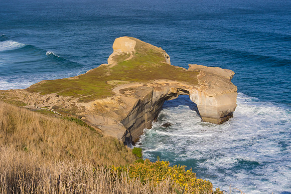 New Zealand 2013
