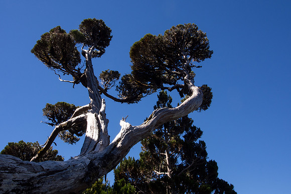 New Zealand 2013
