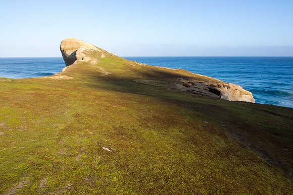 New Zealand 2013