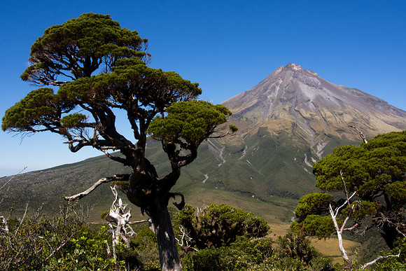 New Zealand 2013