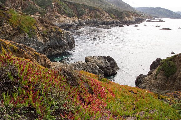 Big Sur 2011