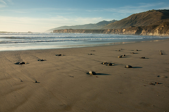 Big Sur 2007
