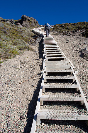 New Zealand 2013