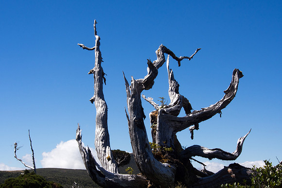 New Zealand 2013