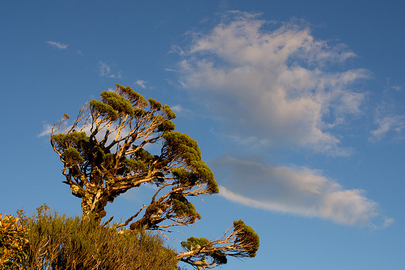 New Zealand 2013