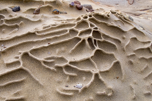 Big Sur 2011