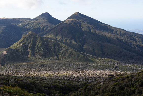 New Zealand 2013