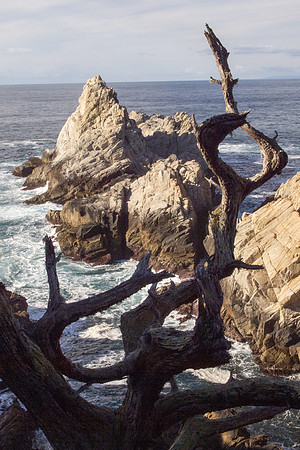 Big Sur 2011