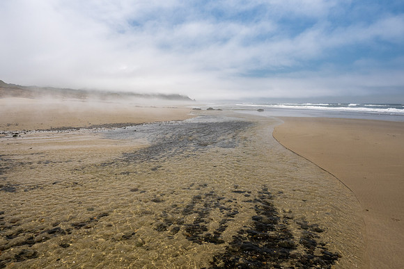 Pacific NW 2023