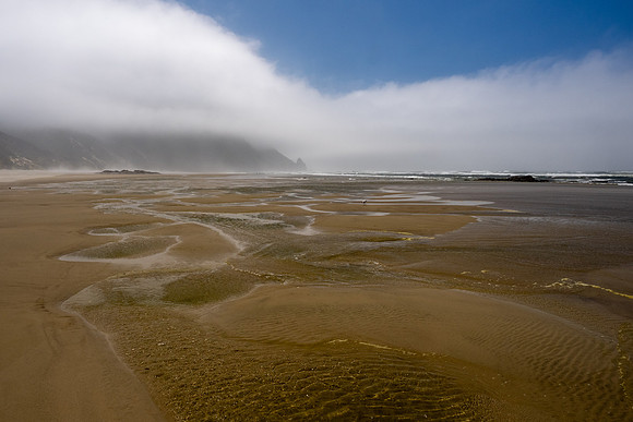 Pacific NW 2023