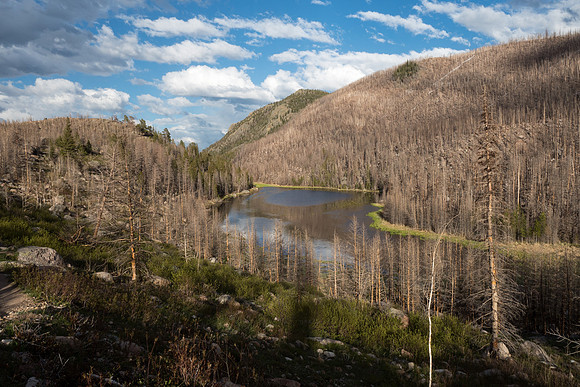Colorado 2016 - Rocky Mountain National Park (P5226929)