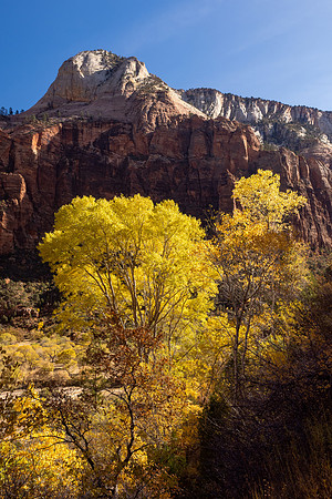 Zion National Park 2024