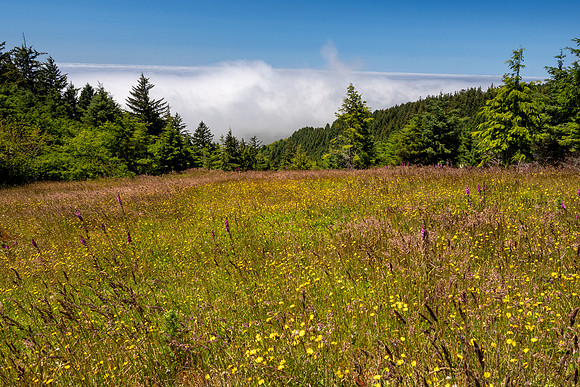 Pacific NW 2023