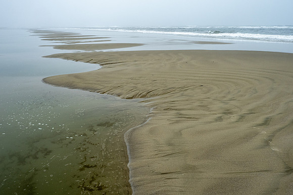 Pacific NW 2023