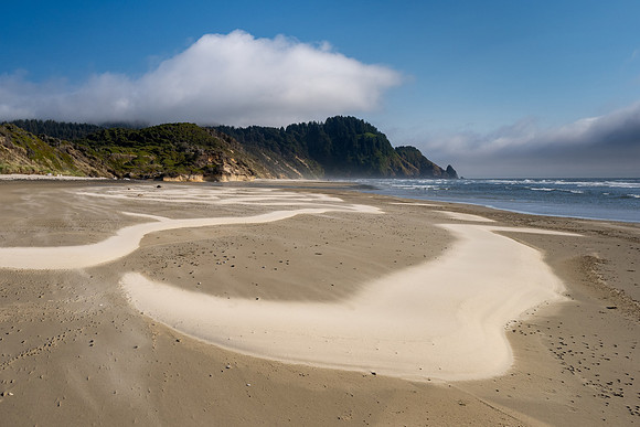 Pacific NW 2023