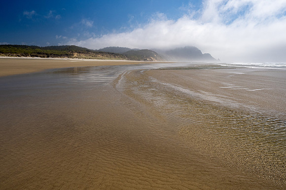Pacific NW 2023