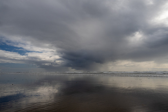 Pacific NW 2023