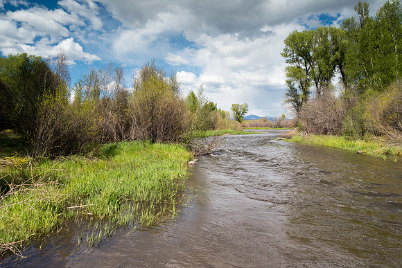 Colorado 2016 - Gunnison River (P5317592)