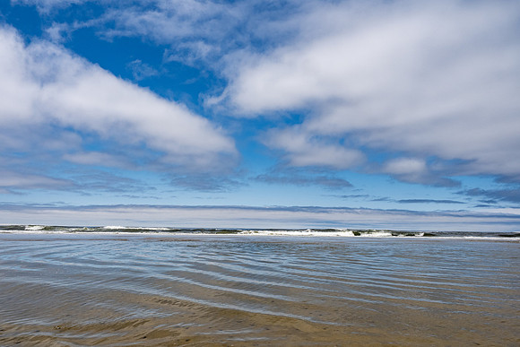 Pacific NW 2023