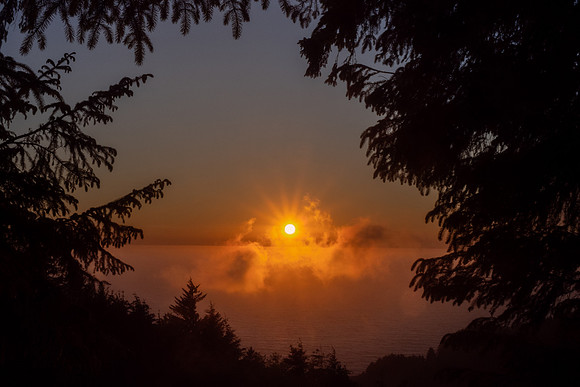 Pacific NW 2023
