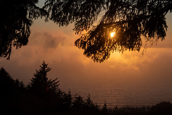 Pacific NW 2023