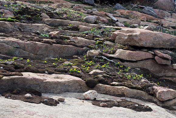 Colorado 2016 - Rocky Mountain National Park (P5226884)