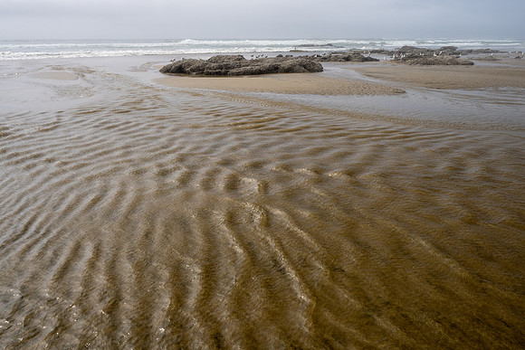 Pacific NW 2023