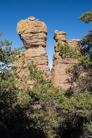 Arizona 2024
