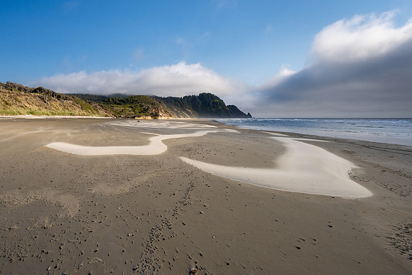 Pacific NW 2023